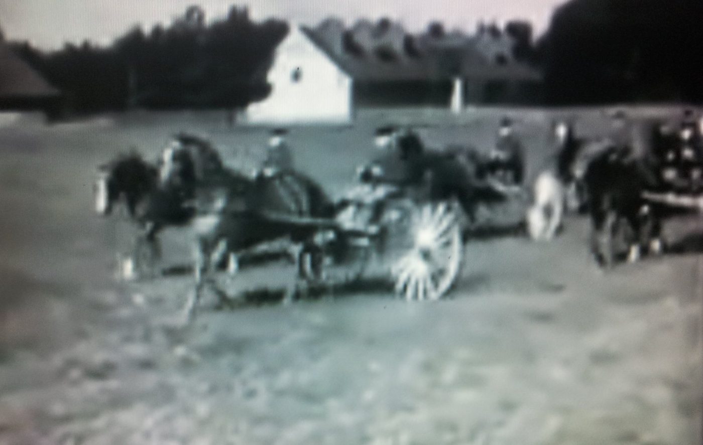 Attelage au haras de Trakehnen en 1936