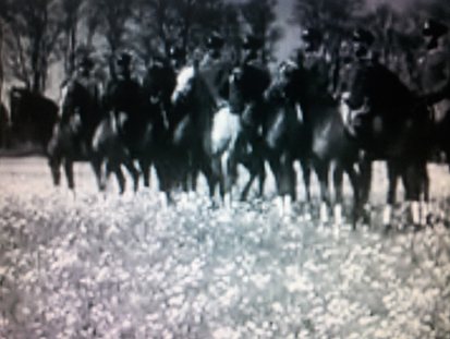 Troupeau de juments au haras de Trakehnen en 1936