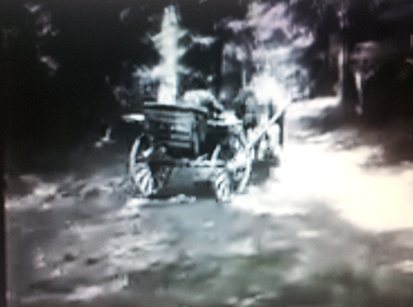 Voiture attelée au haras de Trakehnen en 1936
