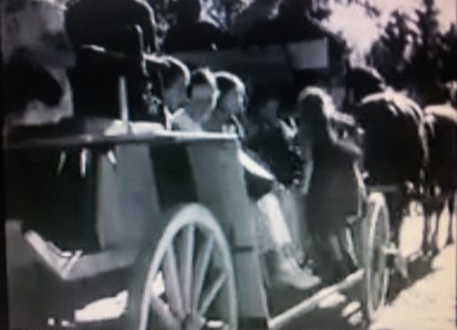 Voiture à chevaux au haras de Trakehnen en 1936