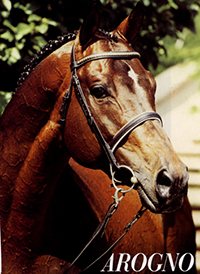 Arogno, portrait