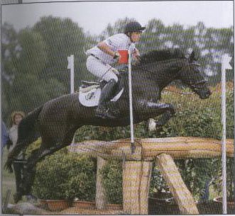 Cavalier et cheval noir sautant un obstacle en concours complet
