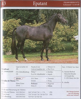 Fiche de présentation d’Epatant des Briandes