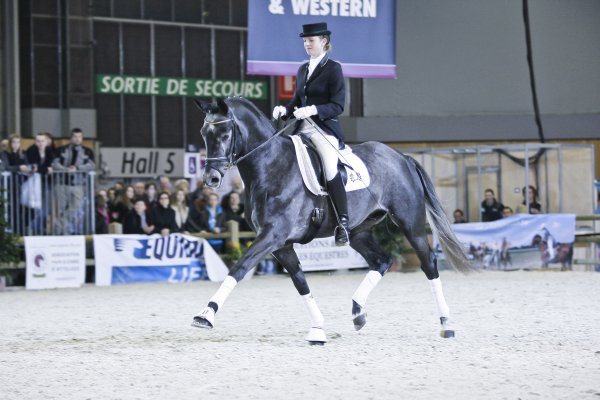 Epatant des Briandes monté en dressage