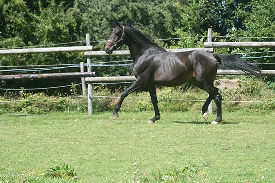 Handgelo à 2 ans