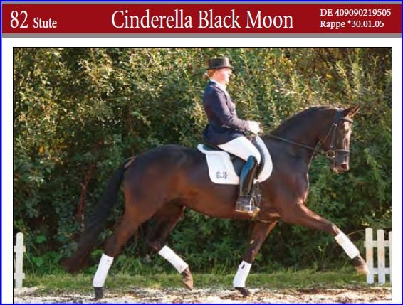 Cinderella Black Moon, fiche de vente aux enchères