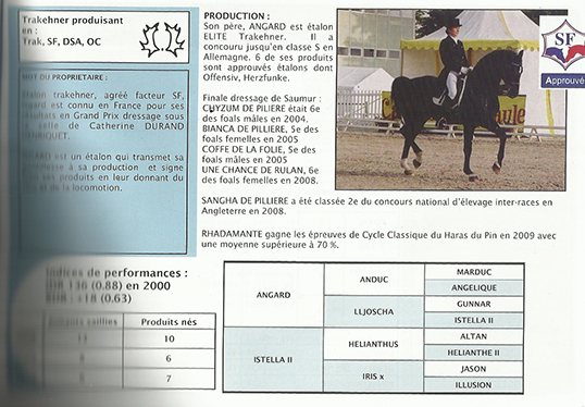 Fiche France Dressage d’Isgard : production, performances et pedigree