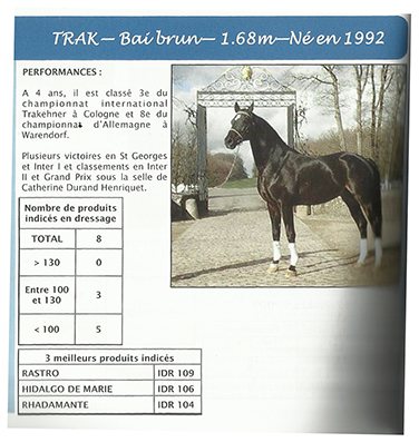 Fiche de présentation France Dressage d’Isgard : « Trak — bai brun — 1,68 m — né en 1992 »
