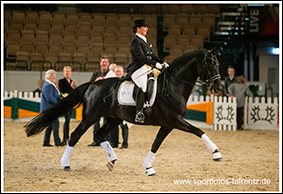 Cheval noir en dressage dans un manège