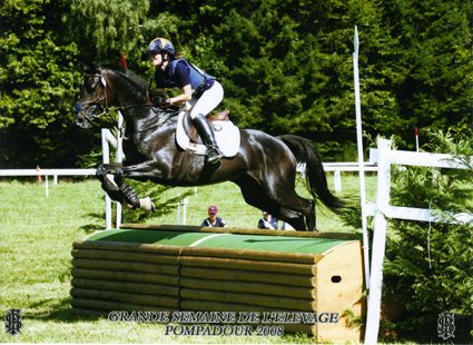 Querozen à l’obstacle, Grande semaine de l’élevage de Pompadour 2008