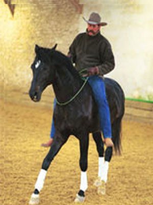 Isgard monté par un cavalier en chapeau