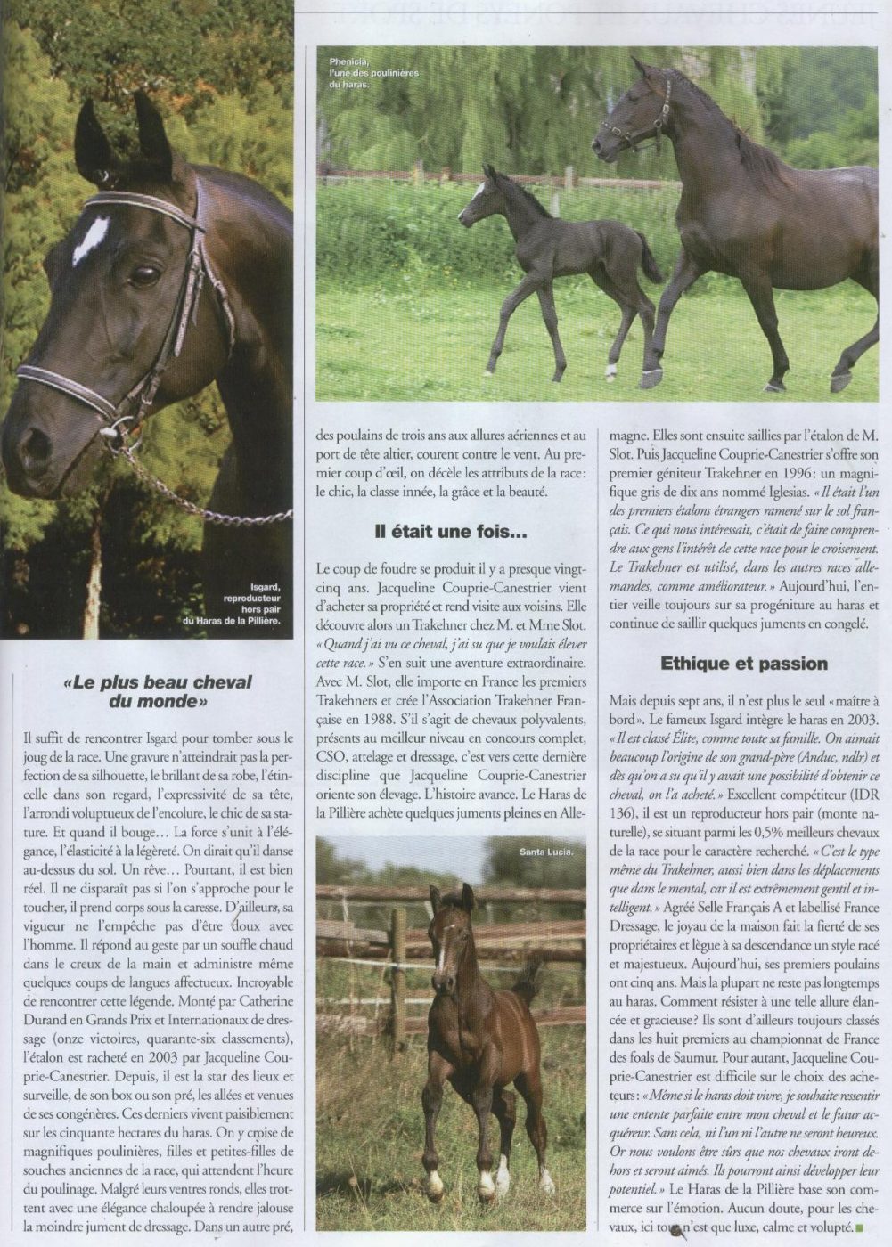 Seconde page de l’article de presse consacré au Haras de la Pillière