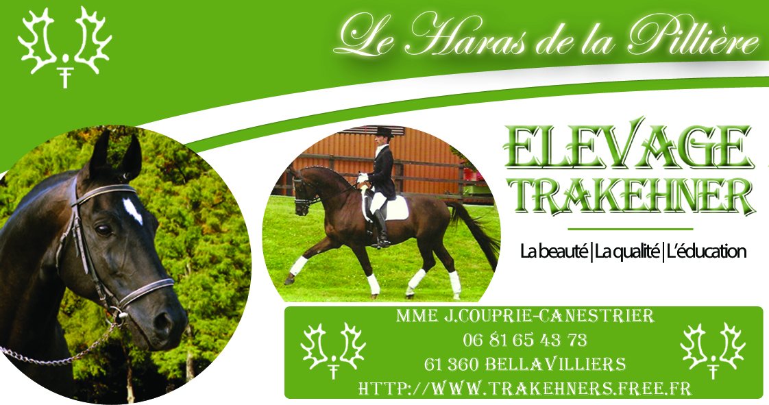 Le Haras de la Pillière, élevage Trakehner : la beauté, la qualité, l’éducation — Mme J. Couprie-Canestrier, 61360 Bellavilliers